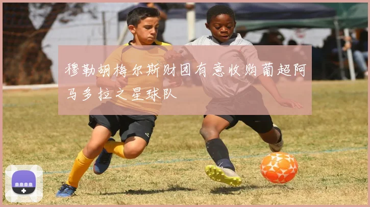 穆勒胡梅尔斯财团有意收购葡超阿马多拉之星球队